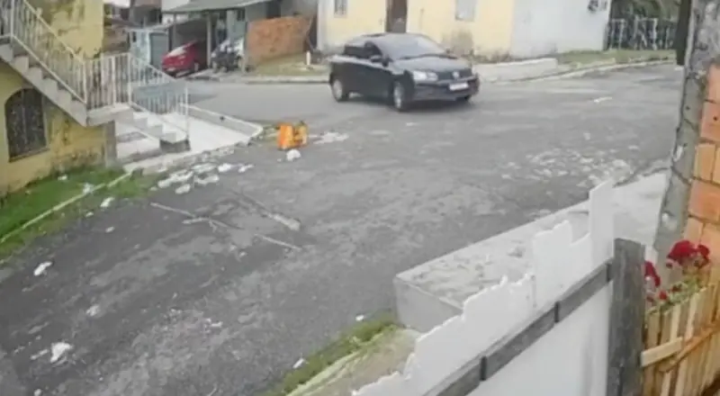 Vídeo de atropelamento de cachorro gera revolta e investigação em Manaus