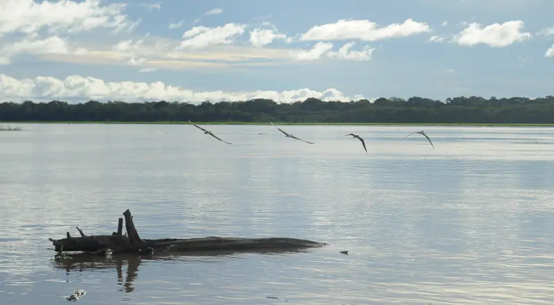 MP do Amazonas fiscaliza ações preventivas para cheias em Anamã