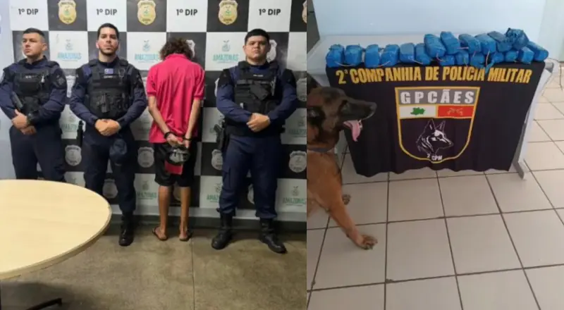 Prejuízo ao tráfico: mais de meio milhão em cocaína apreendida