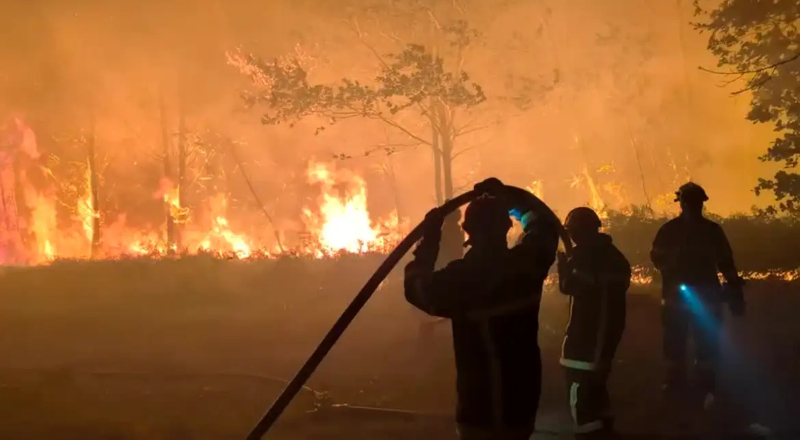 Europa em alerta: incêndios florestais ameaçam a natureza