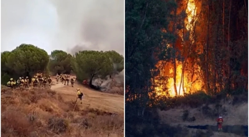 Incêndio florestal atinge 4 mil hectares e gera preocupações