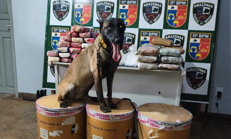 Polícia apreende mais de 72 kg de drogas e desarticula tráfico