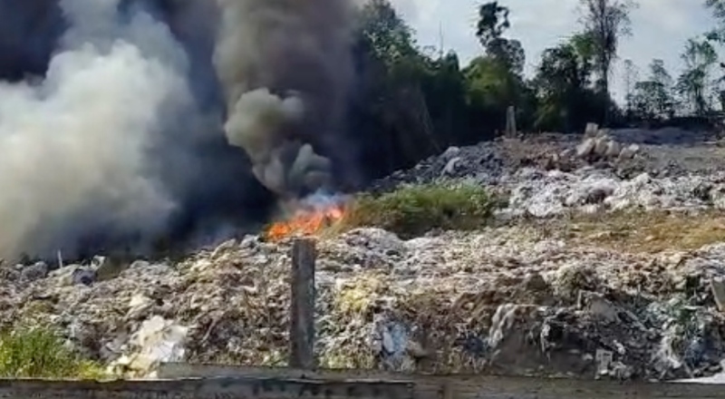 Incêndio de grandes proporções em área de vegetação preocupa Manaus